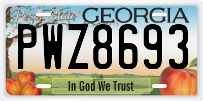 GA license plate PWZ8693