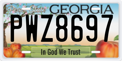 GA license plate PWZ8697
