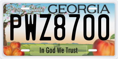 GA license plate PWZ8700