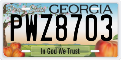 GA license plate PWZ8703
