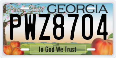 GA license plate PWZ8704