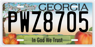 GA license plate PWZ8705