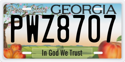 GA license plate PWZ8707