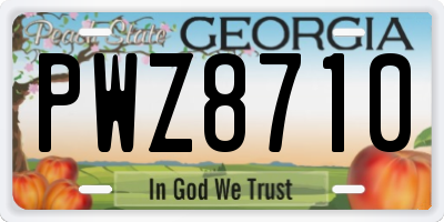 GA license plate PWZ8710