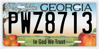 GA license plate PWZ8713