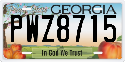 GA license plate PWZ8715
