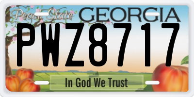 GA license plate PWZ8717