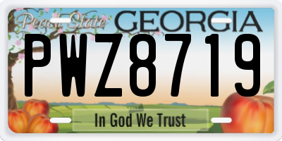 GA license plate PWZ8719