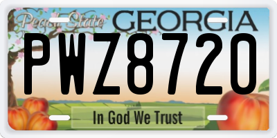 GA license plate PWZ8720