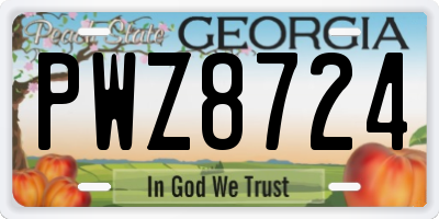 GA license plate PWZ8724