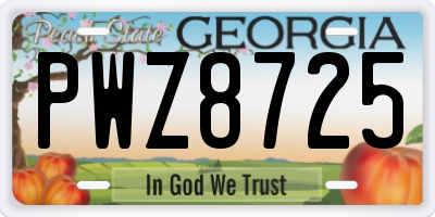 GA license plate PWZ8725