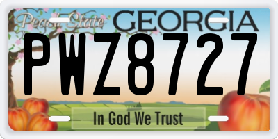 GA license plate PWZ8727