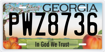 GA license plate PWZ8736