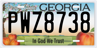 GA license plate PWZ8738