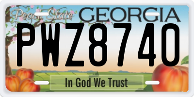 GA license plate PWZ8740