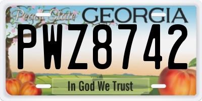 GA license plate PWZ8742