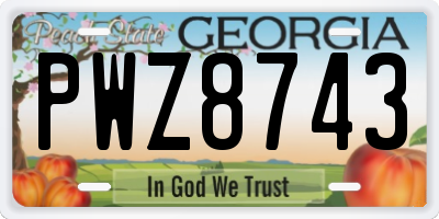 GA license plate PWZ8743