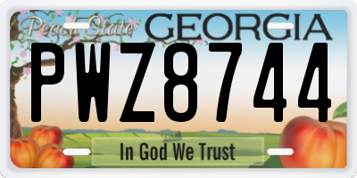 GA license plate PWZ8744