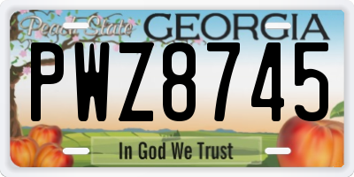 GA license plate PWZ8745