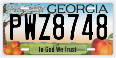 GA license plate PWZ8748