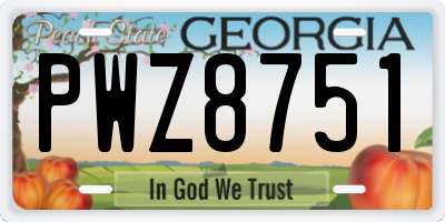 GA license plate PWZ8751