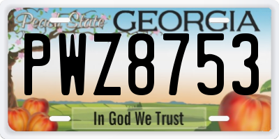 GA license plate PWZ8753