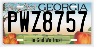 GA license plate PWZ8757