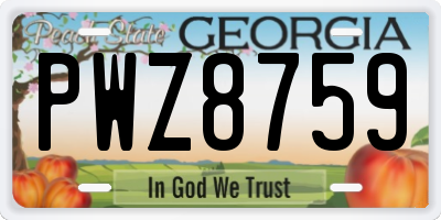 GA license plate PWZ8759