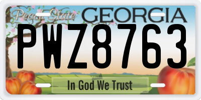 GA license plate PWZ8763