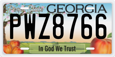GA license plate PWZ8766
