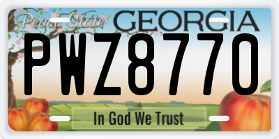 GA license plate PWZ8770