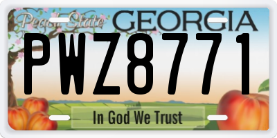 GA license plate PWZ8771