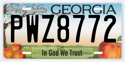 GA license plate PWZ8772