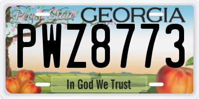 GA license plate PWZ8773