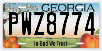 GA license plate PWZ8774