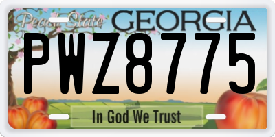GA license plate PWZ8775