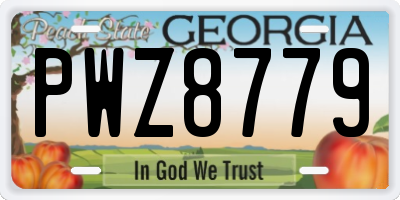 GA license plate PWZ8779