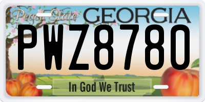 GA license plate PWZ8780