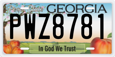 GA license plate PWZ8781