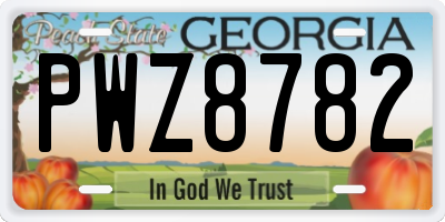 GA license plate PWZ8782