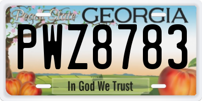 GA license plate PWZ8783