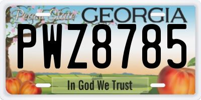 GA license plate PWZ8785