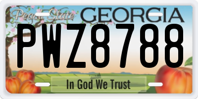 GA license plate PWZ8788