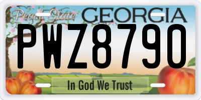 GA license plate PWZ8790