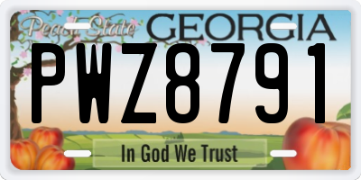 GA license plate PWZ8791