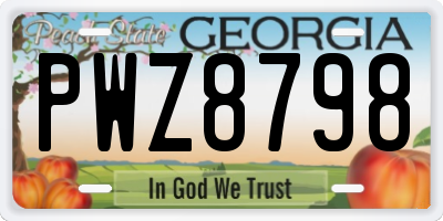 GA license plate PWZ8798