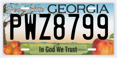 GA license plate PWZ8799