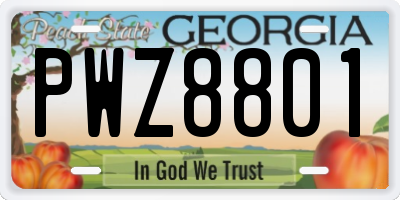 GA license plate PWZ8801