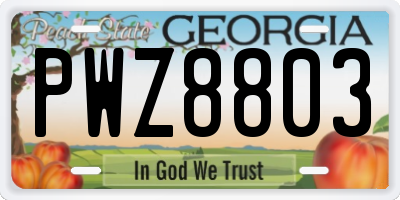 GA license plate PWZ8803