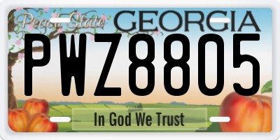GA license plate PWZ8805